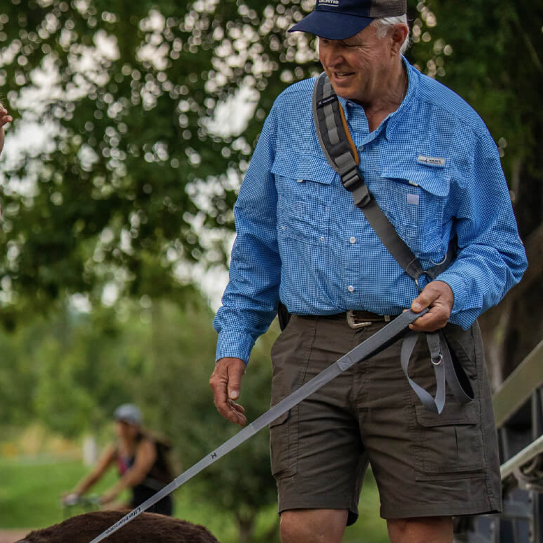 Leash System