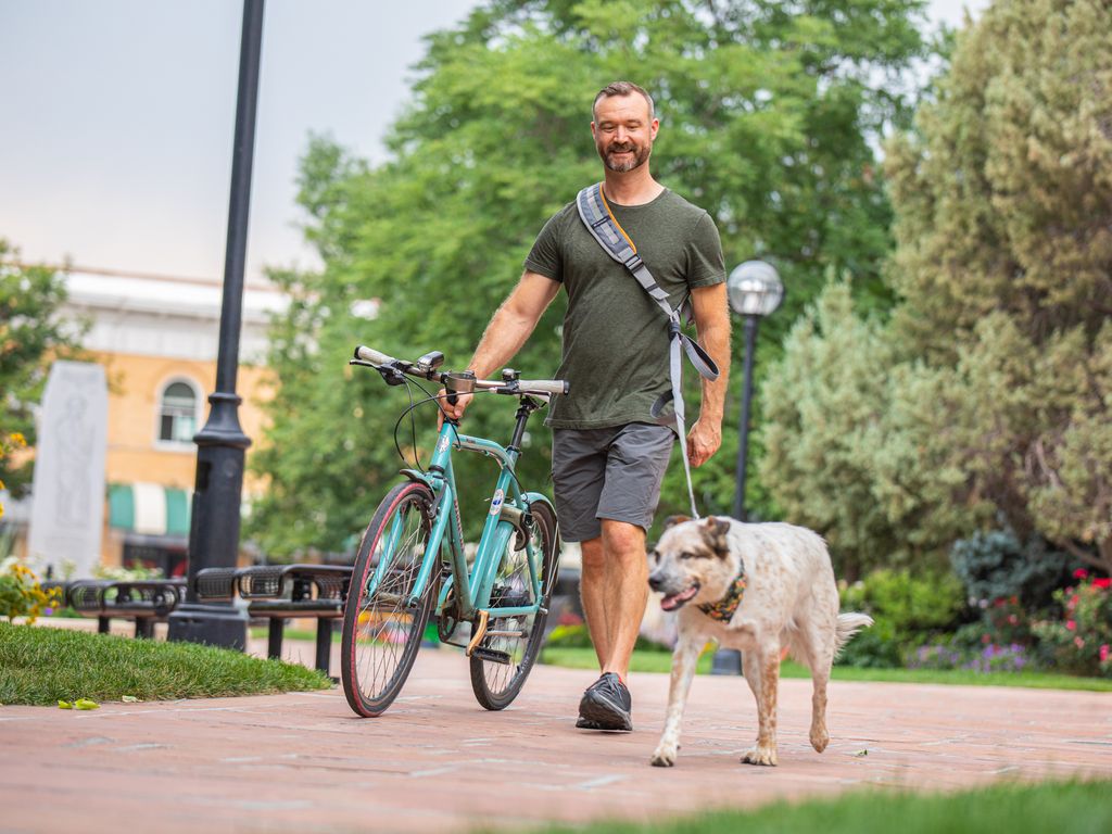 lifehandle hands free leash system