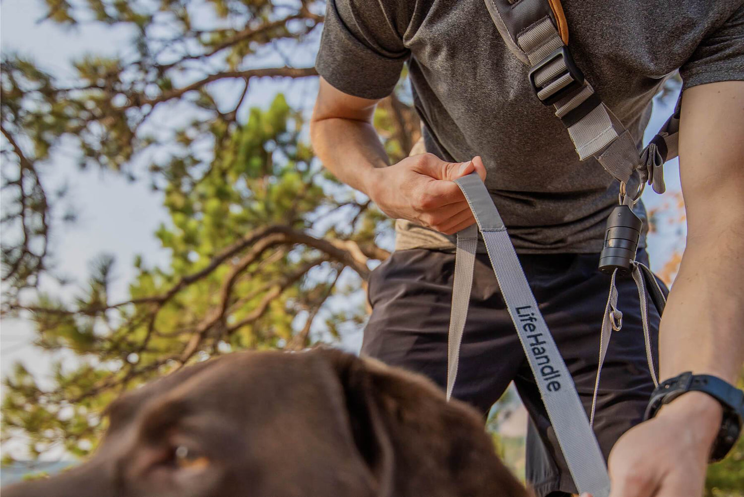 lifehandle dog leash hands free