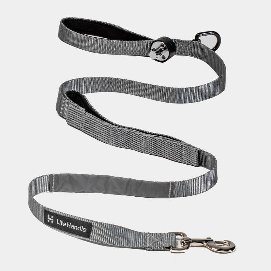 Comfort handle outlet dog leash