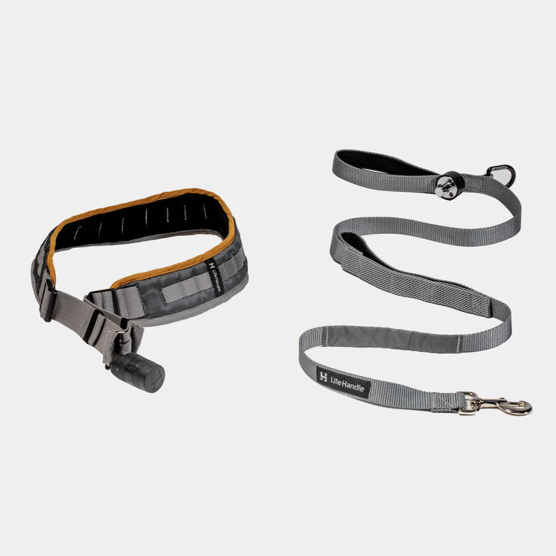 Product View: Hands-Free Dog Leash–Lifehandle