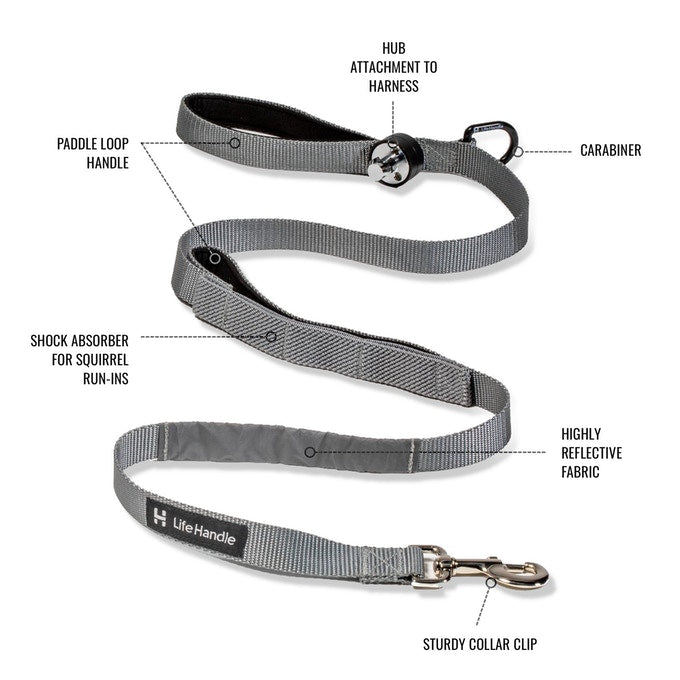 Leash with handle sale